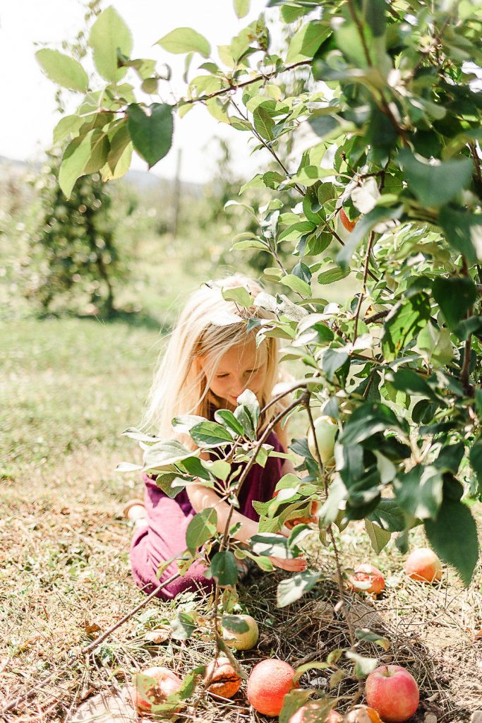 little girl beneath a tree, apples lay on the ground, it looks like fall