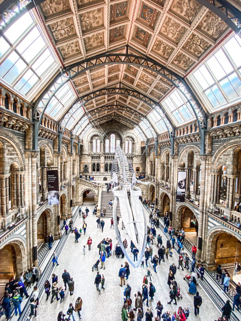 people walking in a beautiful galleria or museum