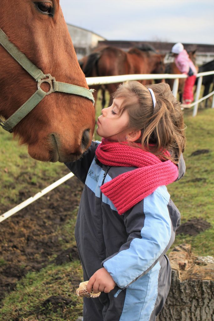 little girl kissing a horse